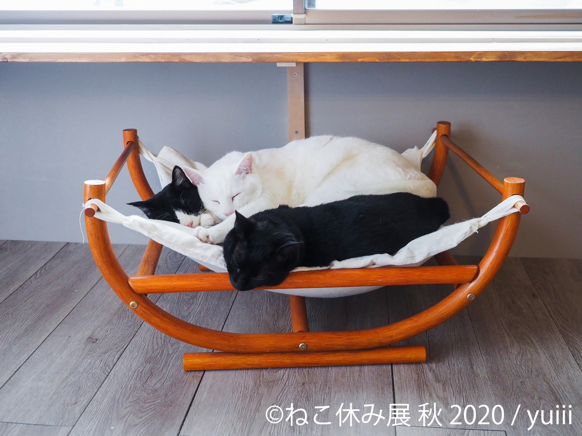 猫クリエイターが集結する合同写真展 物販展 ねこ休み展 秋の新作巡回展を名古屋で開催 9月19日 10月4日 3枚目の写真 画像 動物のリアルを伝えるwebメディア Reanimal