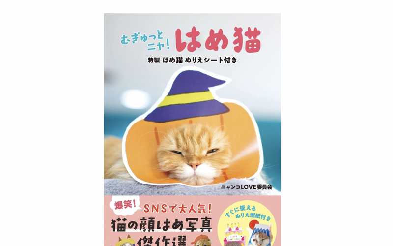 猫の顔出しパネル写真集『むぎゅっとニャ! はめ猫』、宝島社より刊行 画像