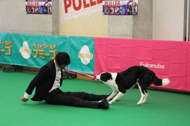 「ドッグダンス」は犬自身がどれだけ飼い主との演技を楽しめるかが重要【アニマルワールドカップ2021】