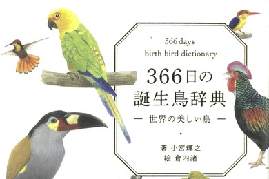その日ごとの“誕生鳥”を描き下ろしイラストと共に…『366日の誕生鳥辞典 世界の美しい鳥』
