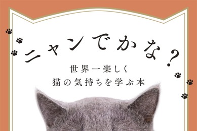 『ニャンでかな？ 世界一楽しく猫の気持ちを学ぶ本』、宝島社より刊行