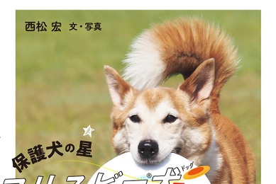 『保護犬の星　フリスビー犬ハカセ』、ハート出版より刊行
