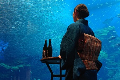 仙台うみの杜水族館、大人のためのイベント「魚を肴に 日本酒ナイト水族館」を開催…5月28日