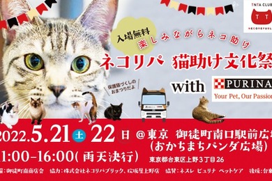 保護猫イベント「ネコリパ猫助け文化祭」、東京・御徒町で開催…5月21日・22日