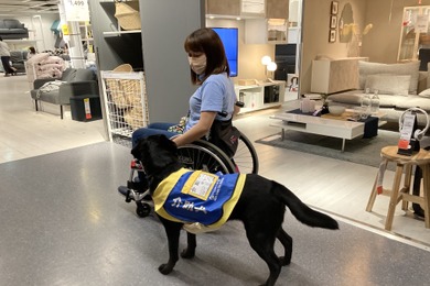 IKEA長久手での介助犬トレーニングを実施…日本介助犬協会