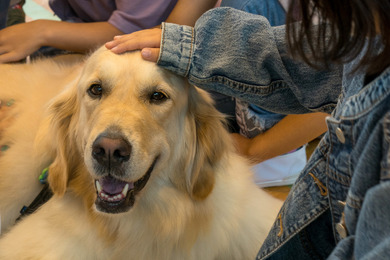 犬との触れ合いから学ぶ思いやりの気持ち…「こども笑顔のラインプロジェクト」