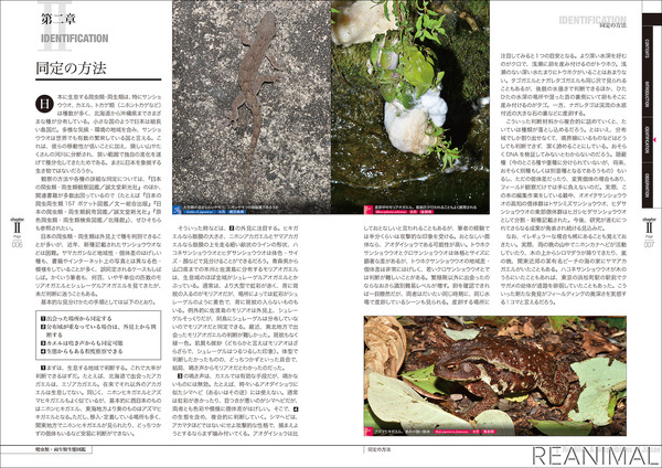 誠文堂新光社 増補改訂 日本の爬虫類 両生類 生態図鑑 を刊行 2枚目の写真 画像 動物のリアルを伝えるwebメディア Reanimal