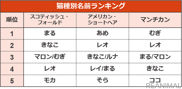 アイペット損保 ペットの名前ランキング2020 を発表 10枚目の写真 画像 動物のリアルを伝えるwebメディア Reanimal