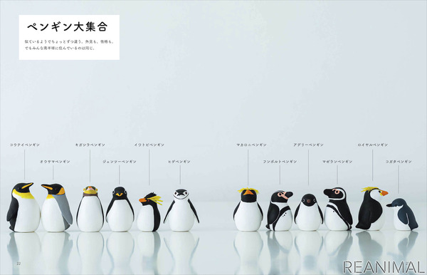 誠文堂新光社 書籍 軽量粘土で作るかわいいペンギン を刊行 7月10日 4枚目の写真 画像 動物のリアルを伝えるwebメディア Reanimal