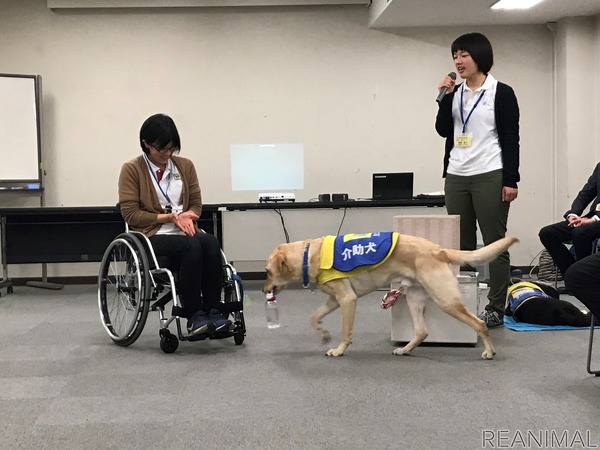 日本介助犬協会 Mont Bell主催のイベント モンベルクラブ フレンドフェア オンライン に出展 4枚目の写真 画像 動物のリアルを伝えるwebメディア Reanimal
