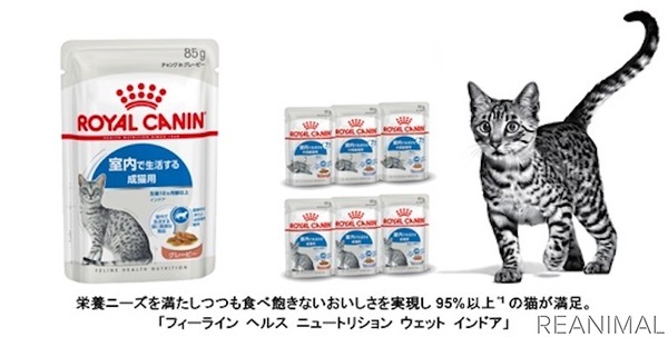 ロイヤルカナン 室内で生活する猫のための総合栄養食 フィーライン ヘルス ニュートリション ウェット インドア を発売 動物のリアルを伝えるwebメディア Reanimal