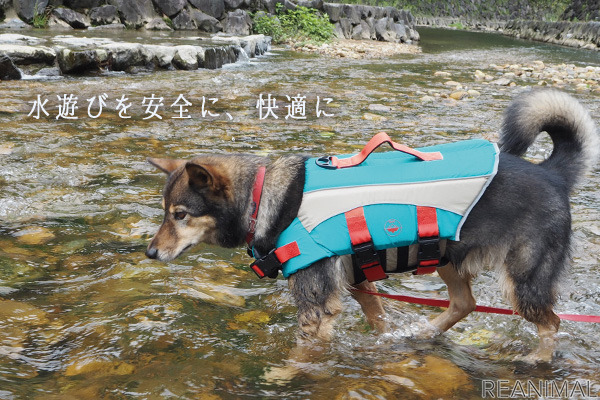 ゼフィール 愛犬用ライフジャケット を発売 レジャーや川遊び 万が一の備えに 動物のリアルを伝えるwebメディア Reanimal