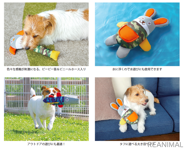 ボンビアルコン ウェットスーツ素材の犬用おもちゃ プレンズー の販売を開始 2枚目の写真 画像 動物のリアルを伝えるwebメディア Reanimal