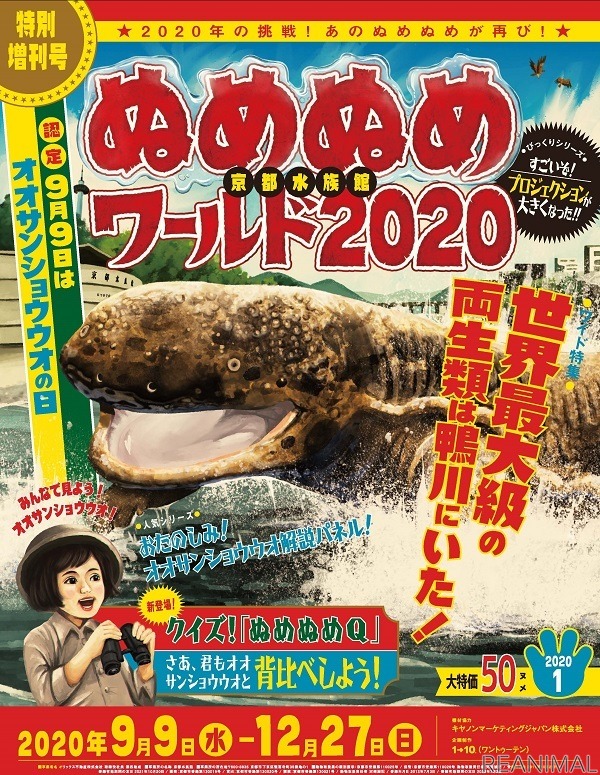 オオサンショウウオの生態を伝えるイベント 京都水族館ぬめぬめワールド 開催 9月9日 12月27日 動物のリアルを伝えるwebメディア Reanimal