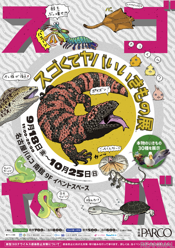 スゴくてヤバいいきもの展 スゴヤバ展 名古屋パルコで開催 9月18日 10月25日 動物のリアルを伝えるwebメディア Reanimal