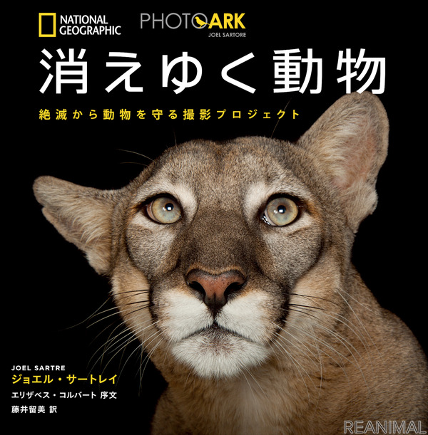 ナショナル ジオグラフィック 写真集 Photo Ark 消えゆく動物 絶滅から動物を守る撮影プロジェクト を刊行 動物 のリアルを伝えるwebメディア Reanimal