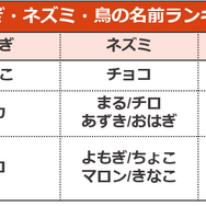 鳥 名前 ランキング トップ 画像