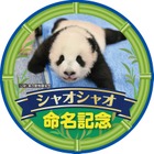 上野動物園の双子のパンダ「シャオシャオ・レイレイ命名記念乗車券