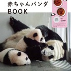 シャオシャオとレイレイの写真とともに見る成長記録『ふたごの赤ちゃんパンダBOOK』、宝島社より刊行…1月24日 |  動物のリアルを伝えるWebメディア「REANIMAL」