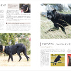 増補改訂 最新 世界の犬種大図鑑」、誠文堂新光社より刊行…21年1
