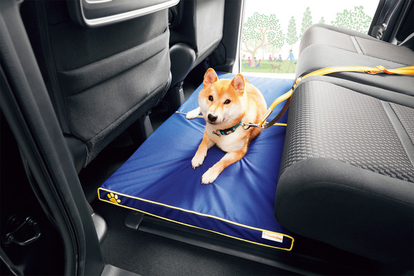 Honda純正アクセサリーメーカーの愛犬家だからこそ譲れない 安全 快適へのこだわり 開発者インタビュー 動物のリアルを伝えるwebメディア Reanimal