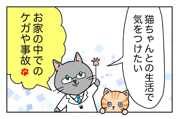 お家の中でも油断禁物 猫のケガや事故を防ごう 4コマまんが 動物のリアルを伝えるwebメディア Reanimal