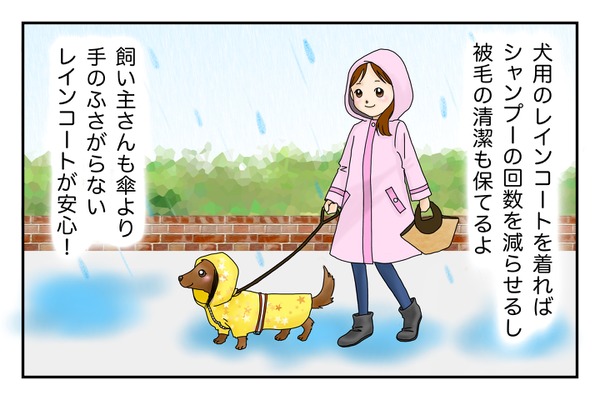 雨の日の愛犬とのお散歩 あると便利なグッズや注意点は 4コマまんが 動物のリアルを伝えるwebメディア Reanimal