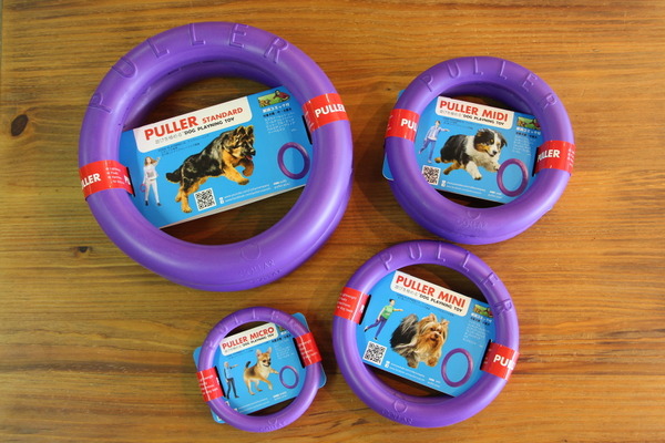 ドッグプレイニング Toy Puller で遊びながら犬との信頼関係を築く ドッグトレーナー向け 認定制度 も 動物のリアルを伝えるwebメディア Reanimal