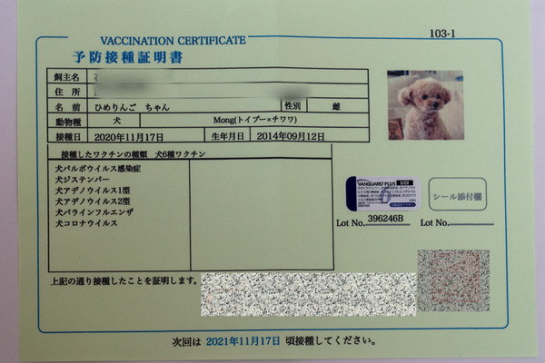 愛犬への 混合ワクチン 接種 慎重に考えてみませんか Vol 2 事件発生 動物のリアルを伝えるwebメディア Reanimal