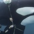 ジェームズ・キャメロン製作総指揮のドキュメンタリー『クジラと海洋生物たちの社会』、Disney+にて独占配信