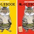 今夏アニメ化決定記念『俺、つしまBOOK』、小学館より刊行