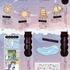 新江ノ島水族館らが監修『ゆるゆるクラゲ・プランクトン図鑑』、学研プラスより刊行