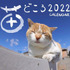 各地で出会った猫たちの写真でつづる「猫どころ 2022 CALENDAR」発売