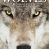 『WOLVES野生のハンターたち 世界のオオカミ写真集』