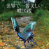 海野和男氏撮影の「世界で一番美しい蝶図鑑」