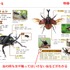 虫の魅力が一番に伝わるアングルの写真。虫との触れ合い方が分かるお役立ち情報を掲載。