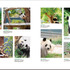 フェリシモ、写真集「神戸市立王子動物園のシャイなパンダ タンタン」の予約受付開始