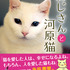 扶桑社、厳しい環境で生きる猫たちと3人のおじさんの物語「おじさんと河原猫」を刊行