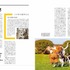 ナショナル ジオグラフィック、ビジュアル書籍「犬の能力 素晴らしい才能を知り、正しくつきあう」を刊行