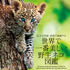 「世界で一番美しい野生ネコ図鑑」、誠文堂新光社より刊行
