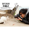 猫写真家・沖昌之氏とWpc.のコラボ商品、数量限定発売