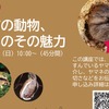ヤマネ・いきもの研究所、無料オンライン講座「北杜市の動物、ヤマネのその魅力」を開催