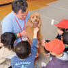 犬を介在したふれあい授業「こども笑顔のラインプロジェクト」、クラウドファンディングにて支援者募集