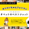 ニコンイメージングジャパン、「#ペットのベストショット」をテーマとしたTwitterフォトコンテストを開催