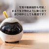 ペット用スマートロボット「Ebo」発売