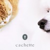 愛犬家・愛猫家による会員制隠れ家プラットフォーム「cachette」リニューアルオープン