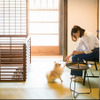 竹田城 城下町ホテル ENにて、「シェフ特製わんちゃん用ご飯付き／愛犬と過ごすお部屋食プラン」の予約受付開始