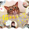 三越伊勢丹オンラインサイトにて「222猫の日～猫がかわいすぎて～」開催