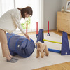 部屋の中で運動しながら愛犬と遊べる遊具「Sippoleアジリティ」、PEPPY（ペピイ）から発売