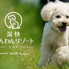 犬専用温泉旅館「湯快わんわんリゾート片山津」オープン